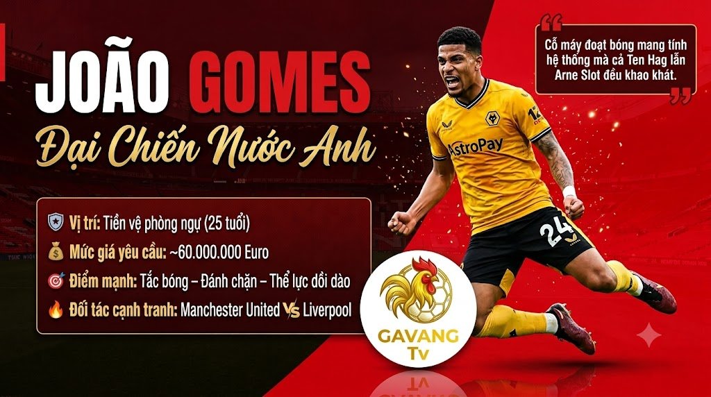 MU, Liverpool Đại Chiến João Gomes; Barca Chốt Bom Tấn